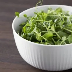 Kähler Bol Hammershøi Ø21 Cm -magasin de tapis 26628 01 03 73f15a2654