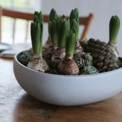 Ro Collection Bol No 10 -magasin de tapis 36635 01 06 78d947db50