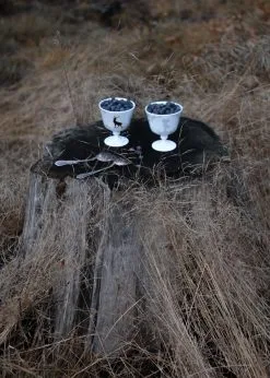 Wik & Walsøe Bol à Dessert Sur Pied Alveskog Ø11 Cm -magasin de tapis 516193 01 4 EnvironmentImage a773af0796