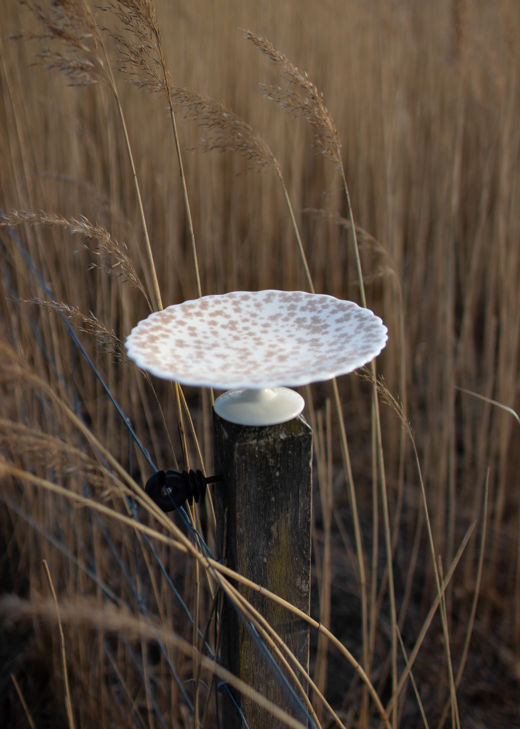 Wik & Walsøe Plat à Tarte Slåpeblom Ø21 Cm 4 Wik & Walsøe Plat à Tarte Slåpeblom Ø21 Cm – Image 2